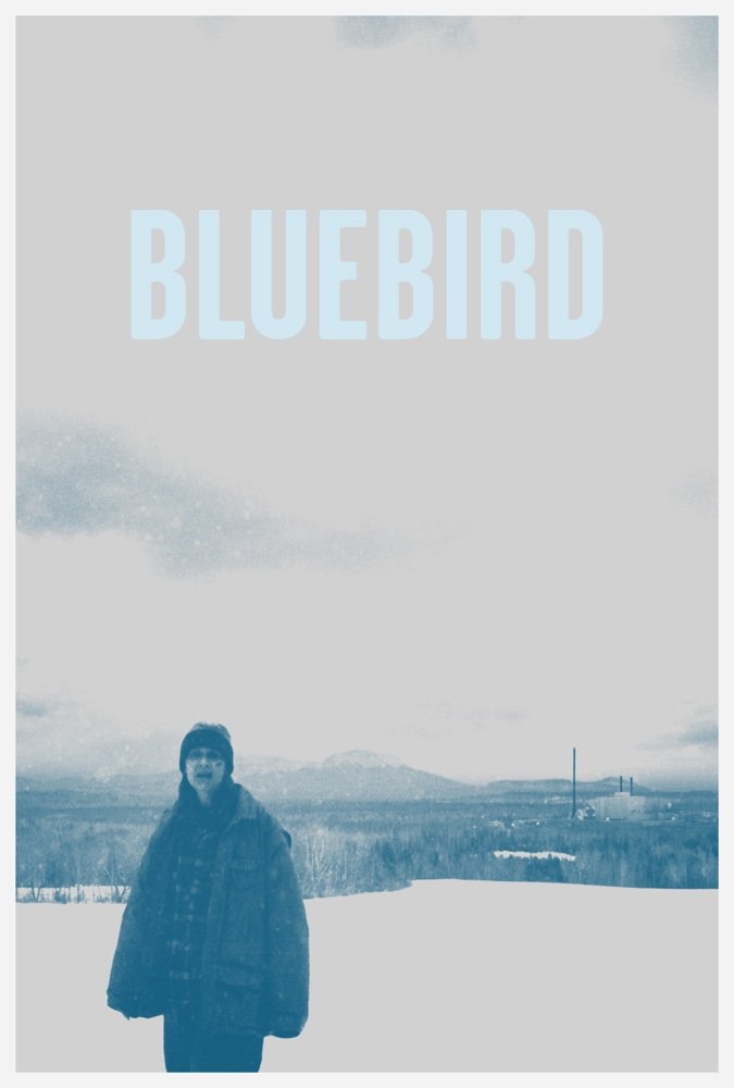Постер Bluebird